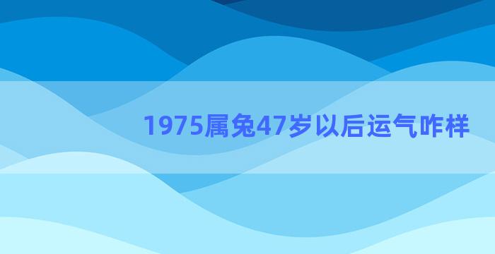 1975属兔47岁以后运气咋样