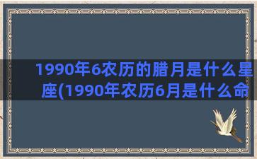 1990年6农历的腊月是什么星座(1990年农历6月是什么命)