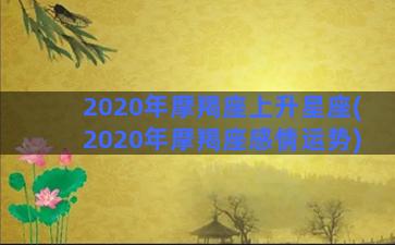 2020年摩羯座上升星座(2020年摩羯座感情运势)