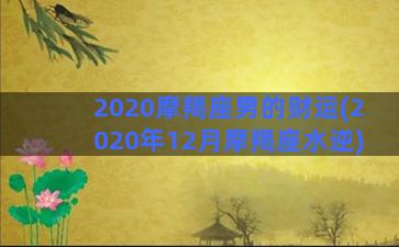 2020摩羯座男的财运(2020年12月摩羯座水逆)