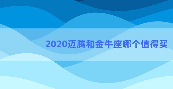 2020迈腾和金牛座哪个值得买