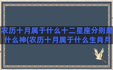 农历十月属于什么十二星座分别是什么神(农历十月属于什么生肖月)