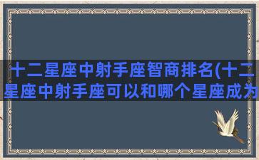 十二星座中射手座智商排名(十二星座中射手座可以和哪个星座成为情侣)