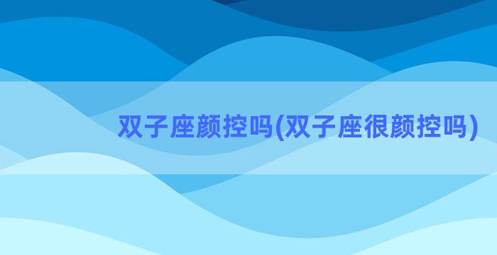 双子座颜控吗(双子座很颜控吗)