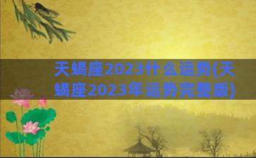 天蝎座2023什么运势(天蝎座2023年运势完整版)