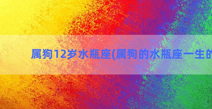 属狗12岁水瓶座(属狗的水瓶座一生的命运)