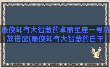 最傻却有大智慧的卓丽星座一号功放搭配(最傻却有大智慧的白羊)