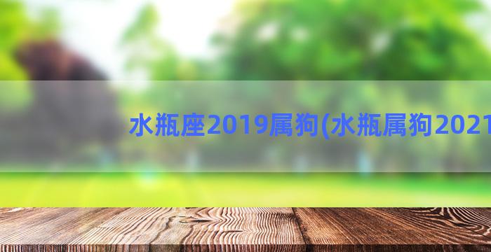 水瓶座2019属狗(水瓶属狗2021)