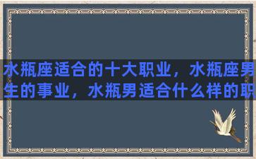 水瓶座适合的十大职业，水瓶座男生的事业，水瓶男适合什么样的职业